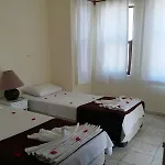 Papaya 3* Side