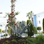 Apartahotel Papaya
